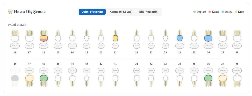 AIDA tooth chart close-up